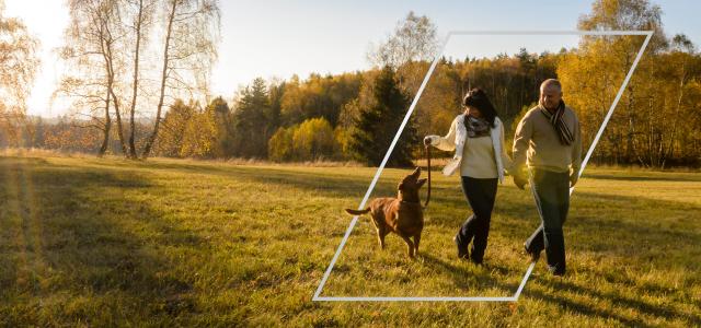 Couple walk dog in countryside autumn sunset